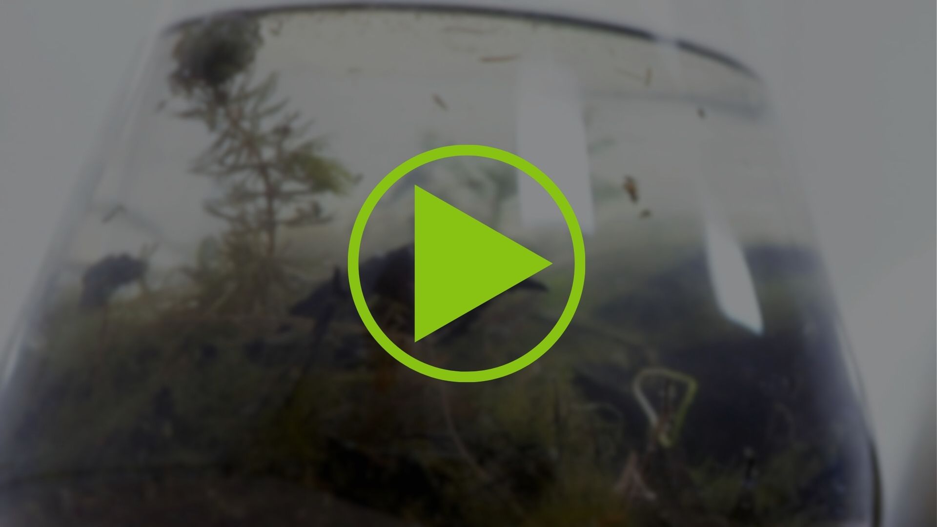 Science of Oil – Video