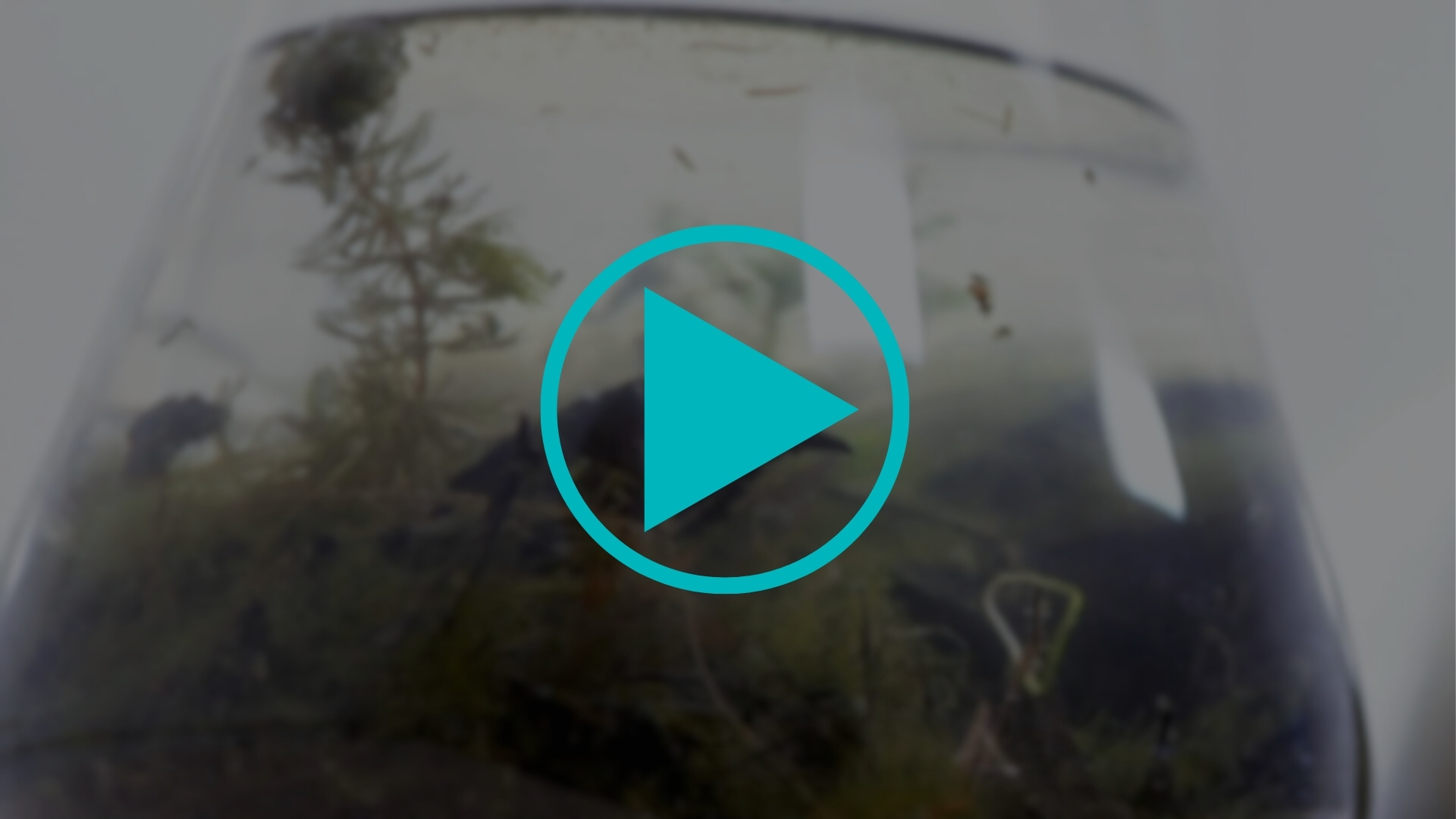 Science of Oil – Video