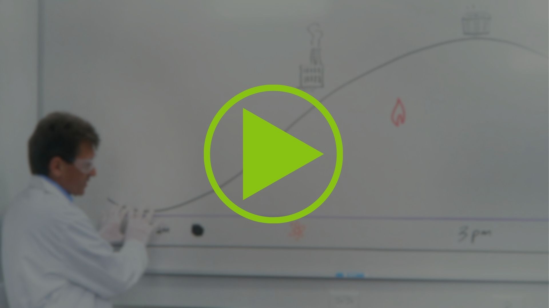 The Demand Curve – Video