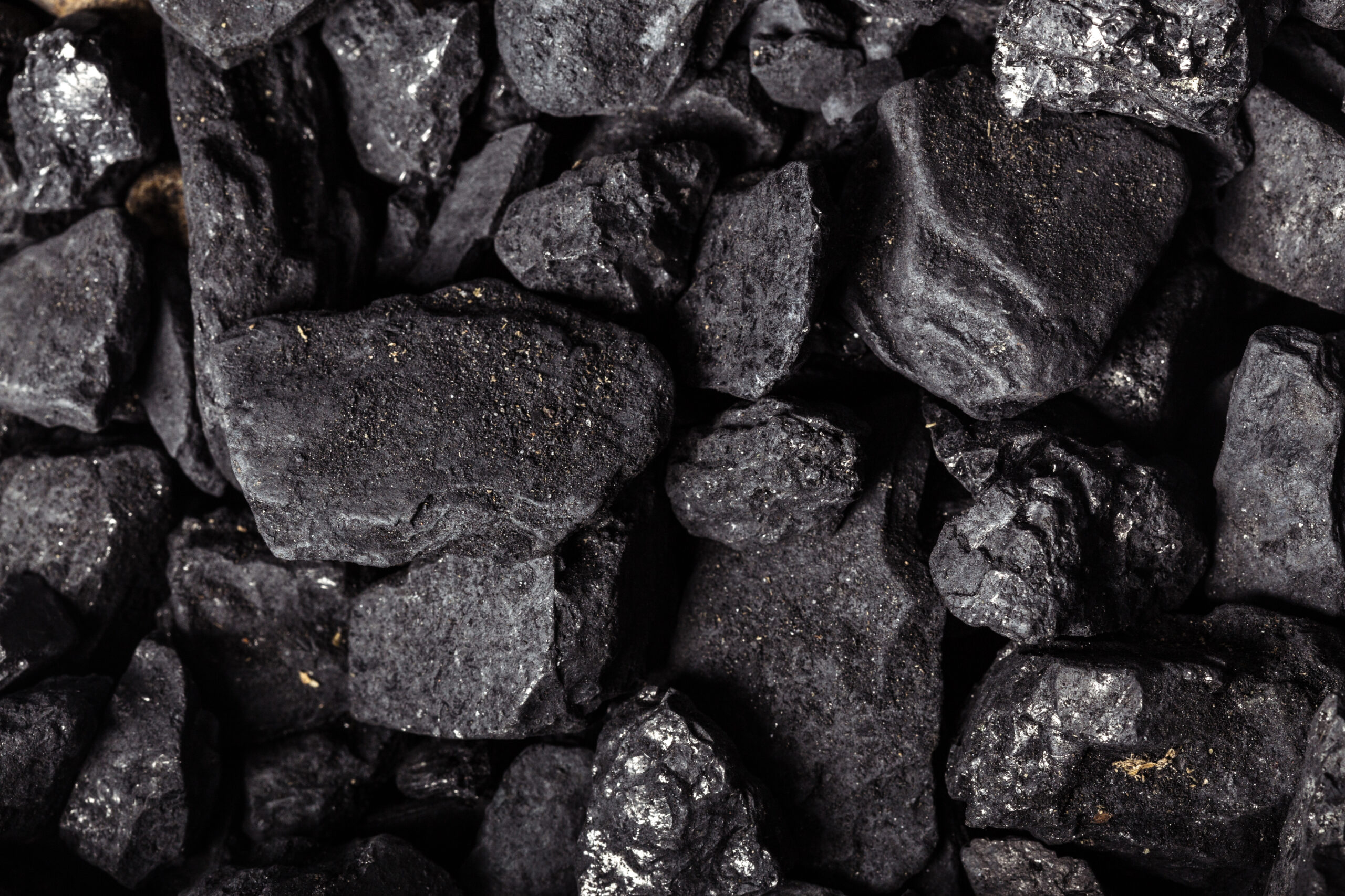 Introduction to Coal