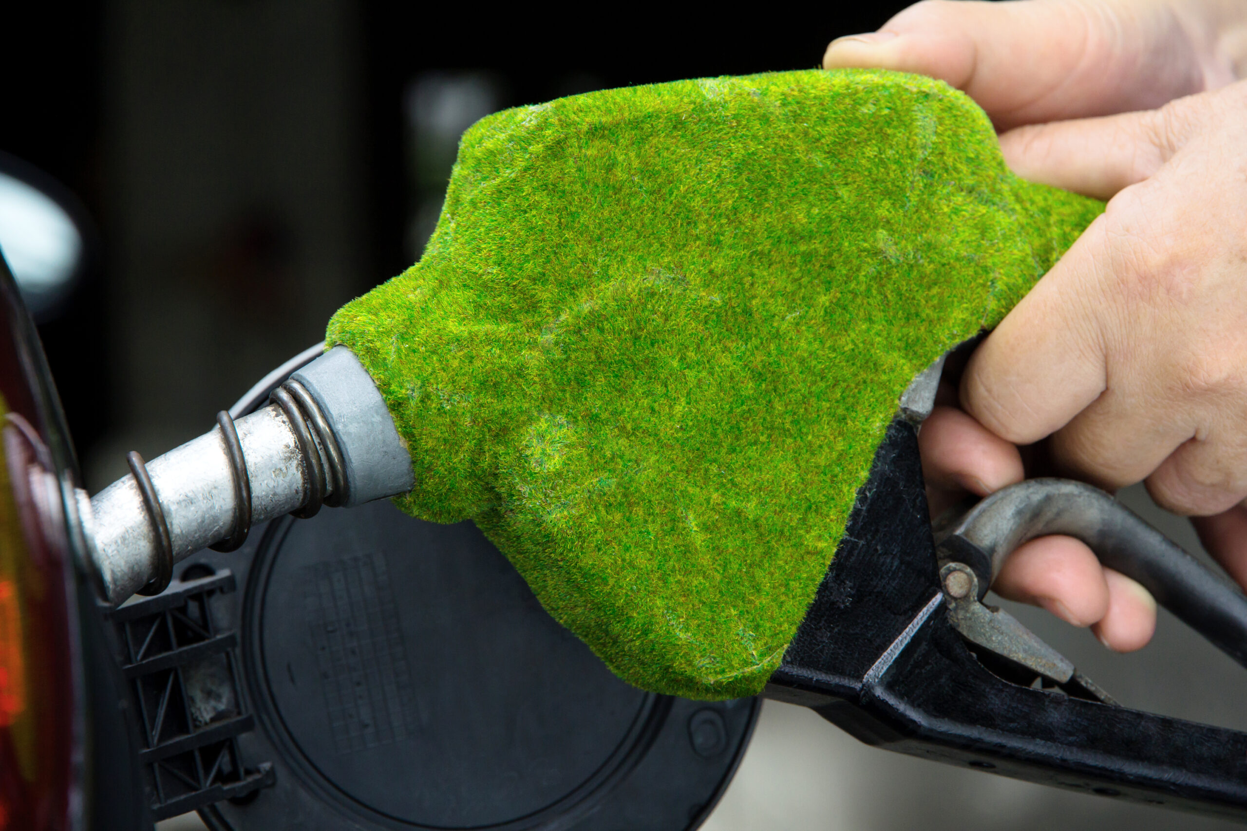 Introduction to Bioenergy