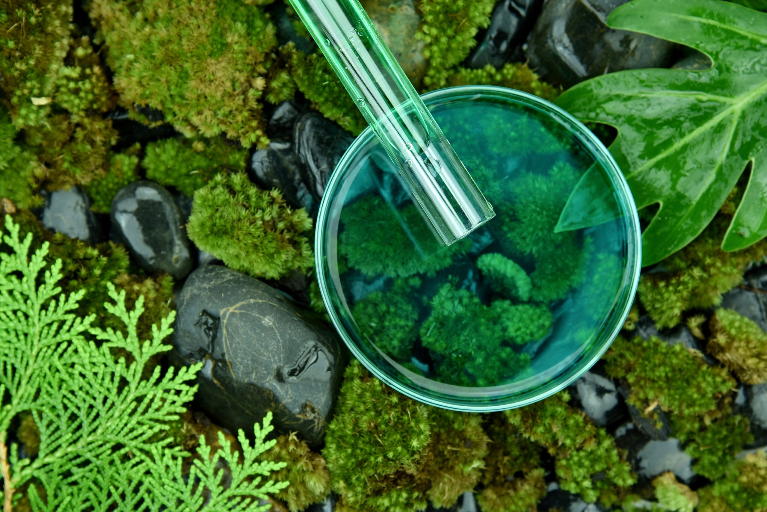 AP Environmental Science Alignment Guide