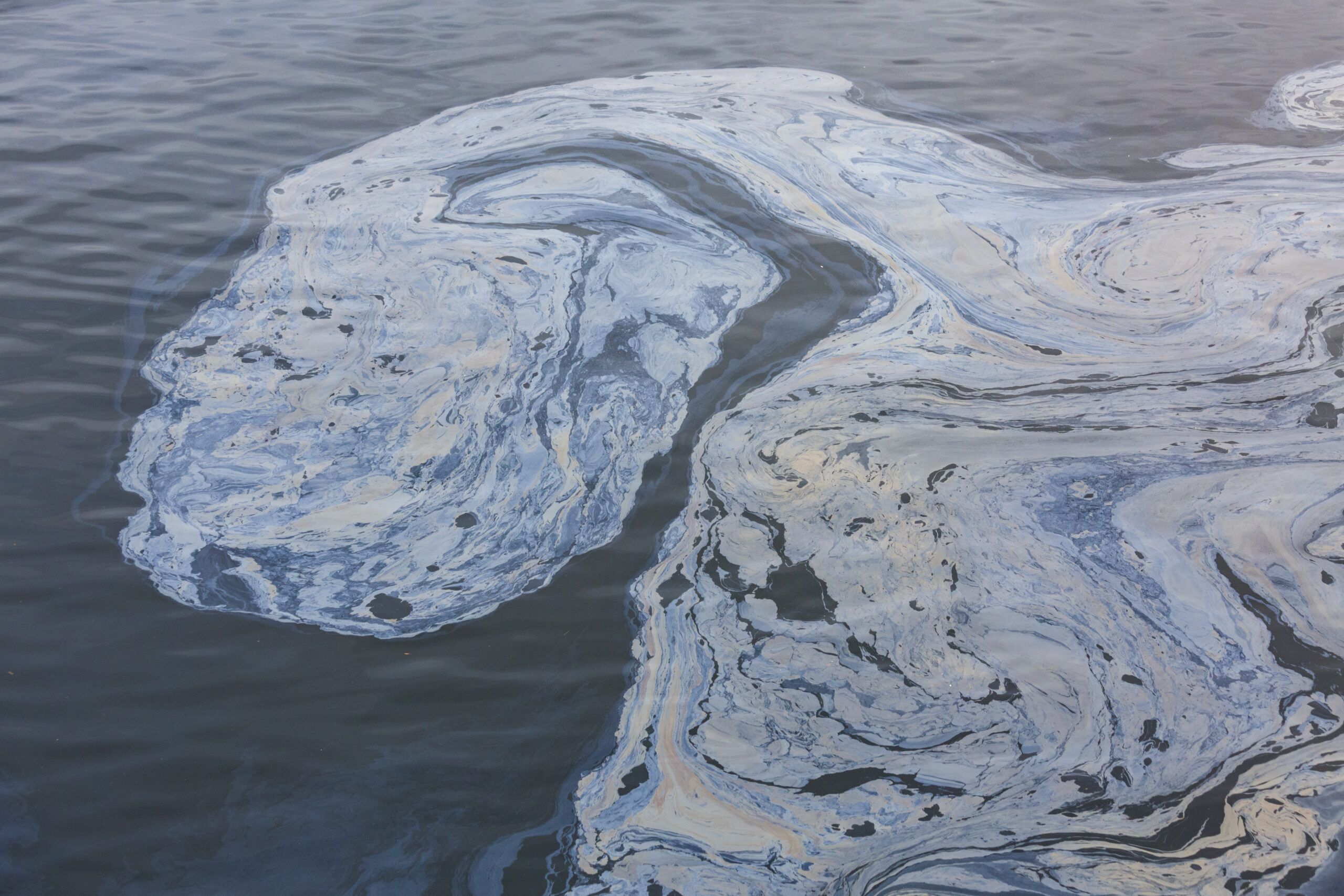Cleaning Up an Oil Spill: Investigative Lab