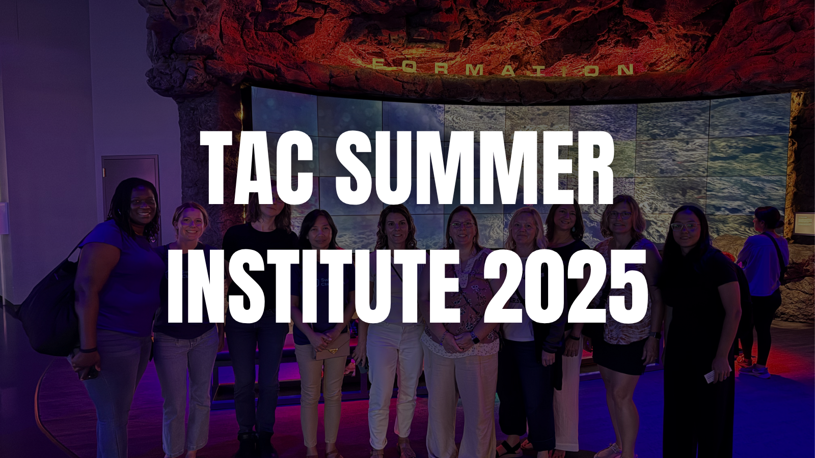 Energized by Houston: My Week at the TAC Summer Institute