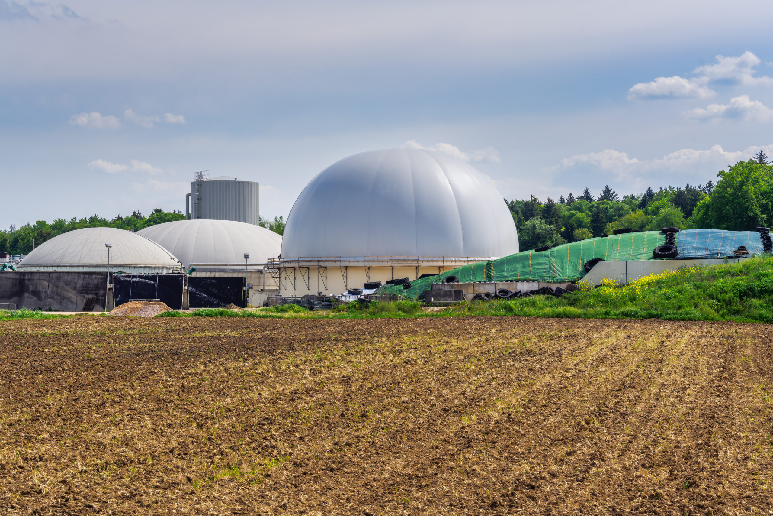 Introduction to Bioenergy - A Bioenergy Challenge - Teacher