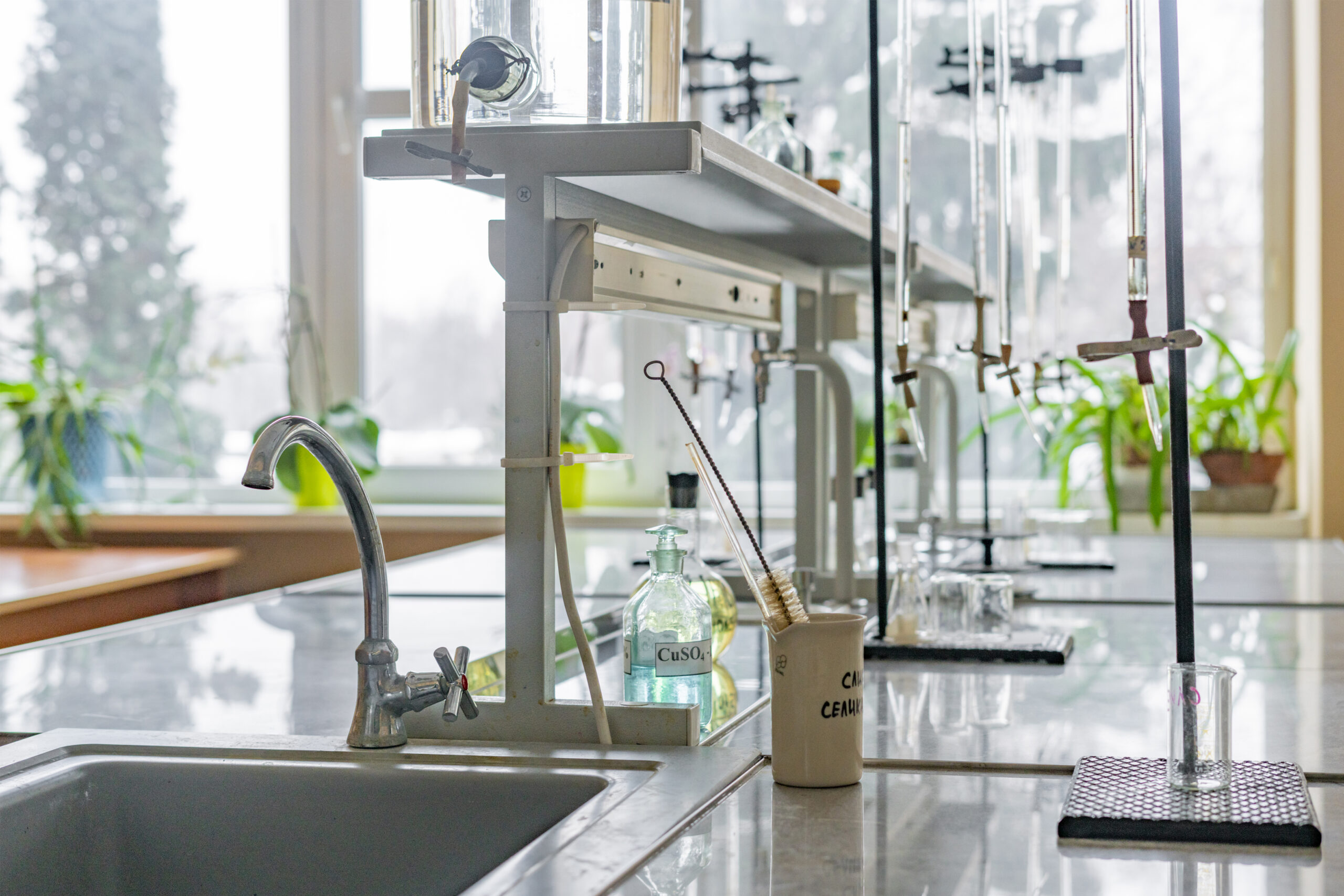 Chemical laboratory with science equipment, sink, and plants.