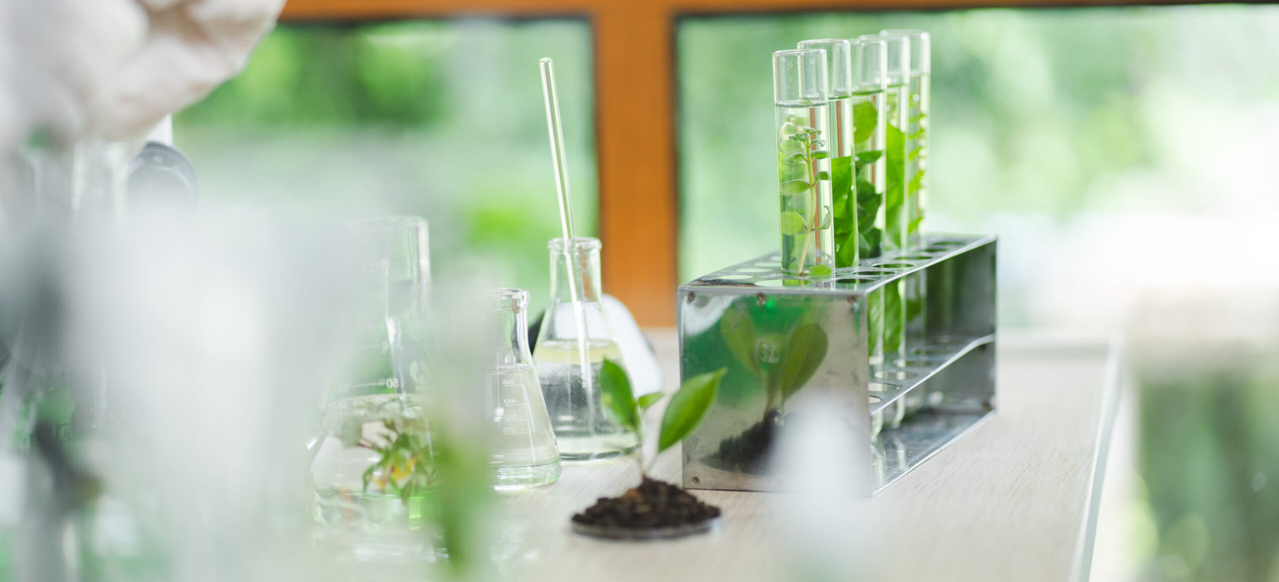 A researcher working in a laboratory, with plants inside metal tubes.