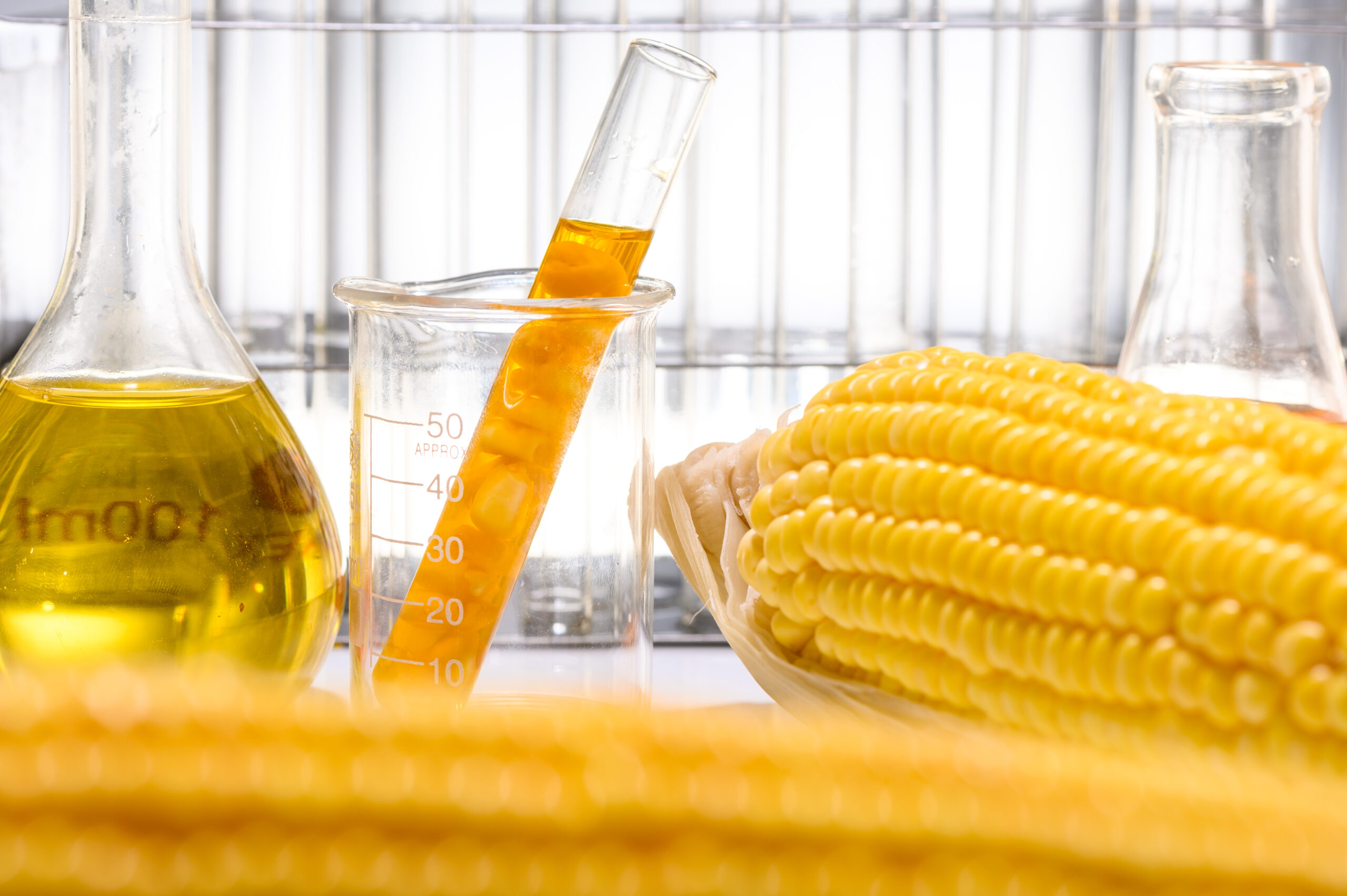 Science of Biofuels - Fermentation and Biofuels Lab - Teacher