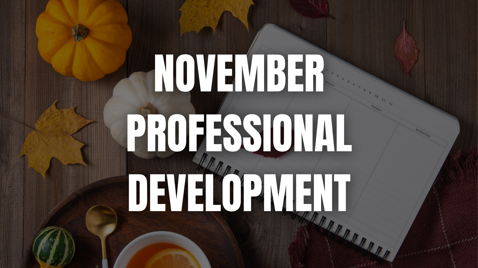 Cozy Up with New Classroom Strategies: Free Virtual PD for Teachers This November