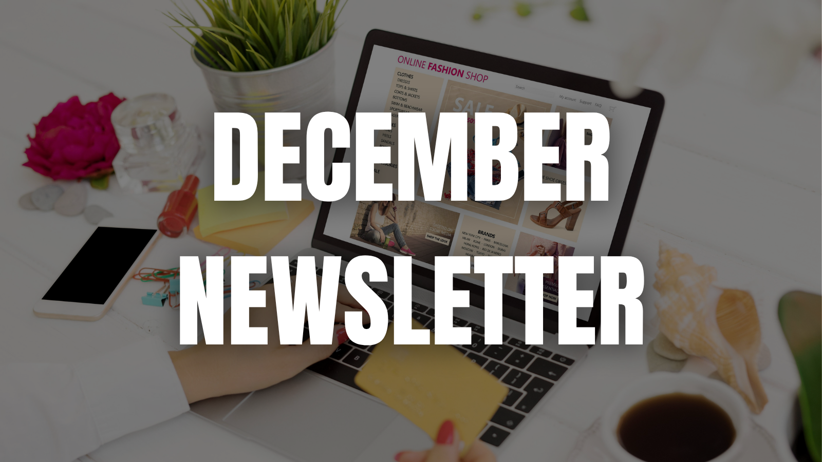 December Newsletter: No-Prep Lesson Plans, an APES Bundle, and New Blogs