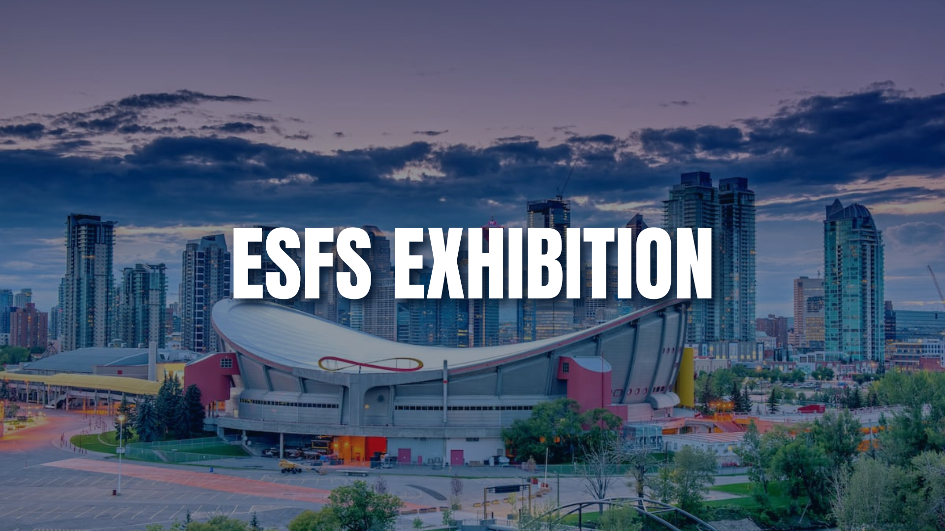 Earth Science for Society (ESfS) Exhibition – Calgary