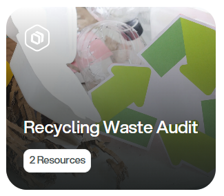 Recycling Waste Audit