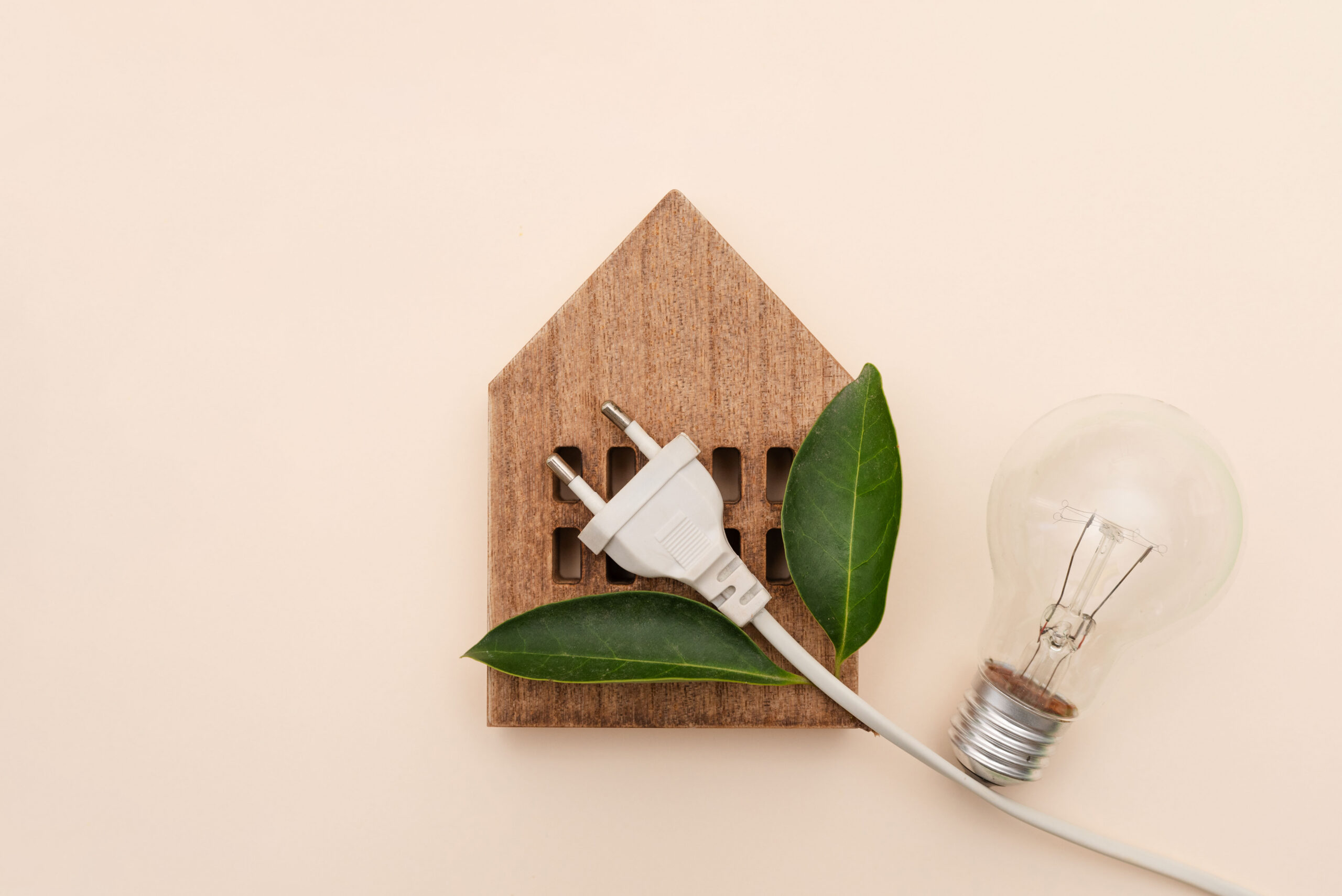 Introduction to Energy Efficiency - Exit Ticket